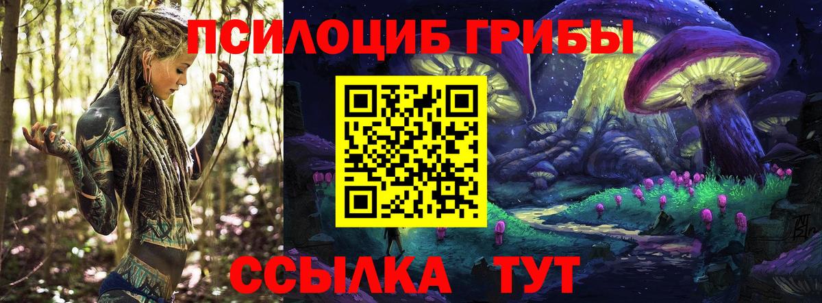 Гусиноозёрск  Псилоцибиновые грибы ЛСД  Вход с VPN 