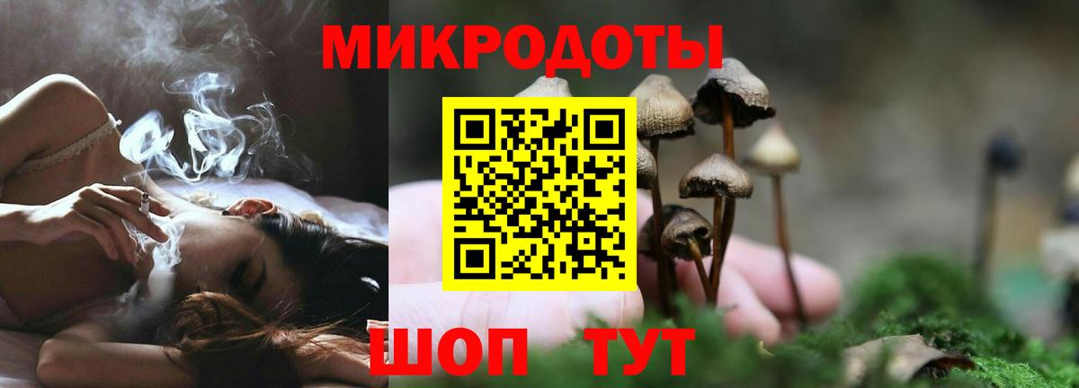 Галлюциногенные грибы мицелий Гусиноозёрск