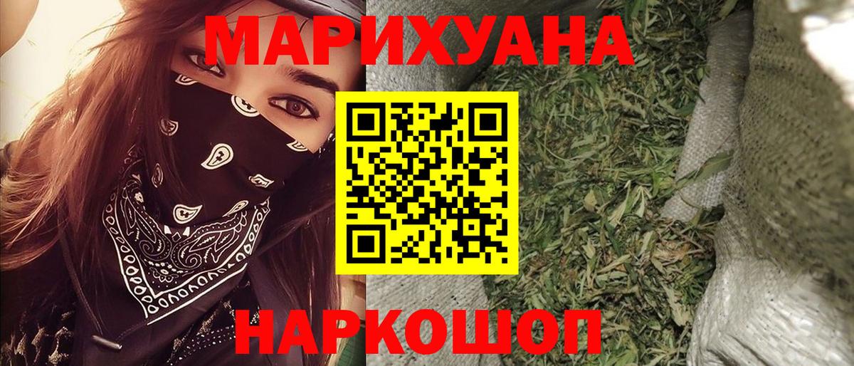 Бошки Шишки сатива Гусиноозёрск